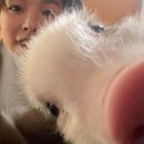 오가 이미지
