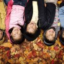 강남합기도 이미지