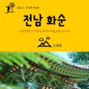 들국화(만수)마을 이미지