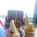 우도특별시 이미지