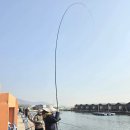 강화선두바다낚시터 이미지