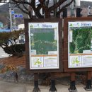 원주굽이길 원11코스 다둔인벌길 티스토리