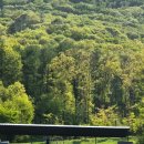 블랙스톤리조트 | 충북 증명 블랙스톤 벨포레리조트 놀이동산 &amp; 벨포레 사계절 썰매장 이용 후기