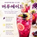 하미앙카페