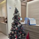 능곡치과의원 | [임신일기] 19주차 치과치료 무섭습니듀아아