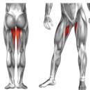 리메디얼 휘트니스 전남대점 이미지