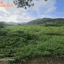 구산면418 네이버블로그
