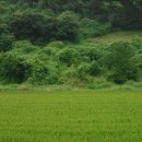 지수면-3 이미지