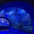 봄봄수산 | 여수 아이와 가볼만한곳｜해양수산과학관 실제 방문 후기