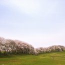 삼화목장 이미지