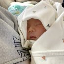 우성 차 병원 이미지