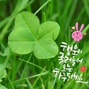 경인로9번나길 이미지