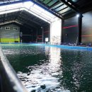 숲속낚시터 이미지