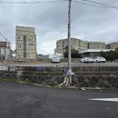 만조이천쌀밥 이미지