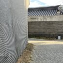 [국제갤러리 최재은 개인전]서울 북촌 인사동 갤러리 전시 관람 후@국제갤러리_250328