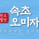 속초매콤코다리조림 이미지
