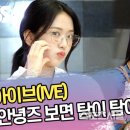 아이브(Ive) 이미지