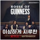 드라마하우스 | 넷플릭스 드라마 하우스 오브 기네스 후기