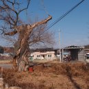 지2리 경로당 이미지
