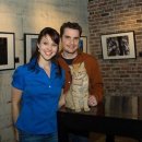 고양이입양소 이미지