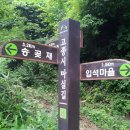 고종시마실길 이미지