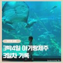 부영목장 이미지