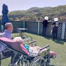 마리스텔라 이미지