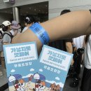 보우동물병원 | 2026 케이펫페어 서울에서 30만원 넘게 쓴 강아지용품 구매 후기