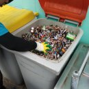 대흥초등학교 이미지