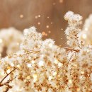 아름다운기억 이미지