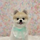 아몬드 몽몽 이미지