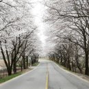 환상1리 이미지