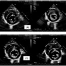 한남심장내과동물병원 이미지
