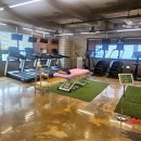 웰니스 지 이미지