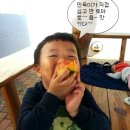 민욱농장 Daum카페