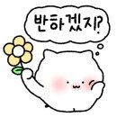 황금콩순두부