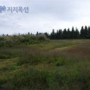아름목장 이미지