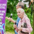 DMZ 오픈 페스티벌(DMZ전시) 이미지