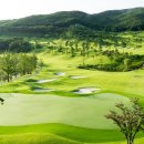 포인트골프크리닉 이미지