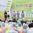 녹색사랑