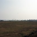 올레목장 이미지