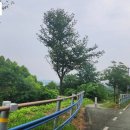 세한공인중개사사무소 이미지