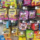미국 신맛 문어 젤리 트롤리 사워브라이트 Trolli Sour Brite Octopus 후기