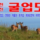 8/25(금)~26(토) 사슴이 뛰어노는 아름다운섬, 가보고 싶은섬, 굴업도 1박2일 이미지