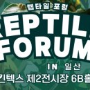 하지렙타일