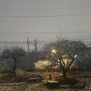 앞뜰 - 미추홀구 인하로105번길 28 | 앞뜰
