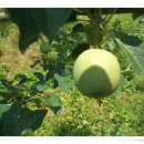 환희농장 이미지