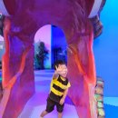 도날드 어린이집 | 마산 양덕동 조이 어린이집 5세 여름 캠프 1박2일