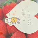 카페꼬숩