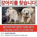 보약마켓 - 부천시 원미구 | 보약마켓